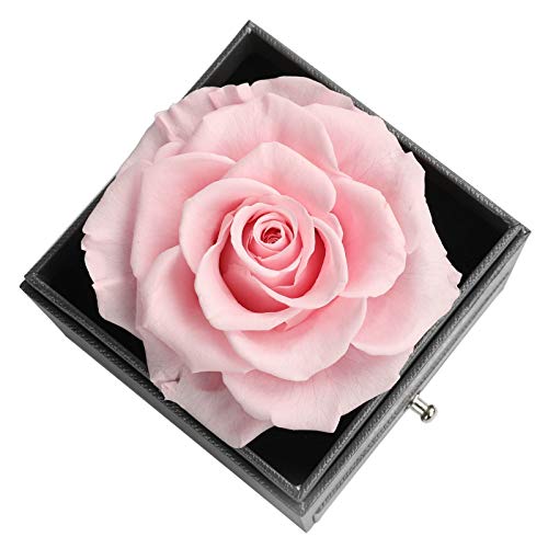 Skalago Preserved Real Rose Drawer with Heart Necklace I Love You in 100 Languages Gift Set, Handmade Enchanted Real Rose ...