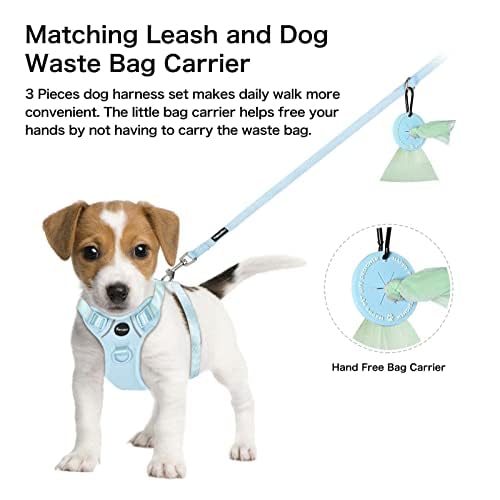 Petmolico Dog Harness for Small Dogs, Cute Harness Vest with Two Leash Clips and Soft Handle, Reflective Easy Walk Puppy V...