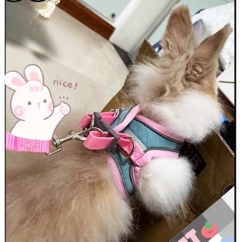 Anelekor Bunny Harness and Leash Set Reflective Strip Kitten Vest Harness Escape Proof Rabbit Leash Walking Pet Accessorie...
