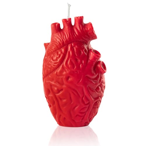 Zainpe Anatomical Heart Shaped Candle Gift Home Aesthetic Decor Pine Fragrance Natural Soy Wax Handmade Aromatherapy Candl...