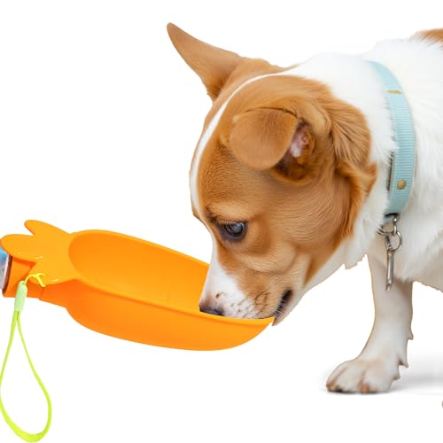 Li & Zhao Portable Dog Water Bottle Dispenser - Leak Proof Portable Water Bowl for Dog Foldable Carrot Water Bowl Travel S...