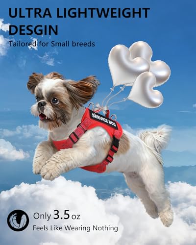 Service Dog Vest for Small Breed Dogs with ID Tag – Lightweight Puppy Harness and Leash Set with 6 PCS Patches, Ideal Serv...