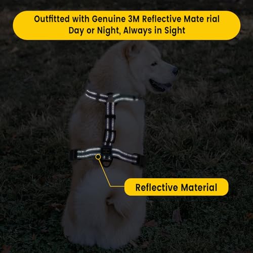 Roses&Poetry Dog Harness and Leash Set for Mediumn Dogs, No Pull Dog Harness Adjustable Reflective, Dog Halter Harnesses C...