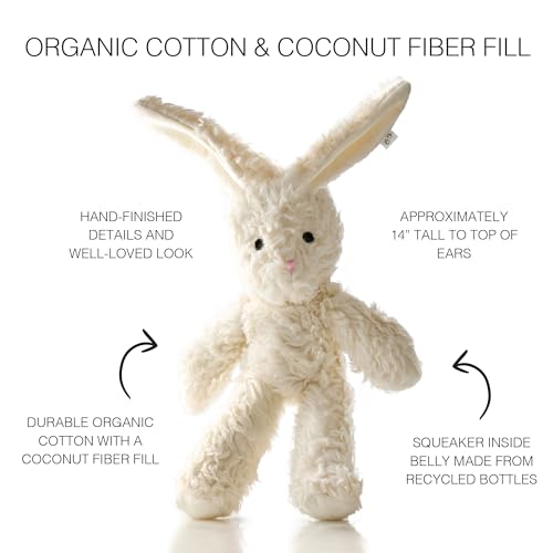 Pet Passion Plush Durable Cotton Dog Toys with Coconut Fill for All Pet Breeds, Bunny, One Size