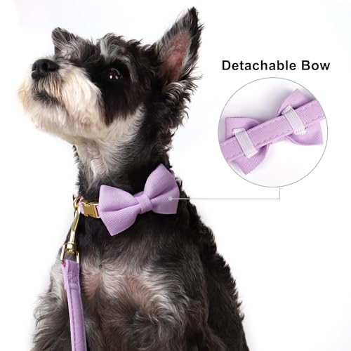 Beirui Adorable Small Dog Harness Collar and Leash Set,Cute Puppy Harness Set with 3 Bows for Small Dogs,Shih Tzu,Dachshun...