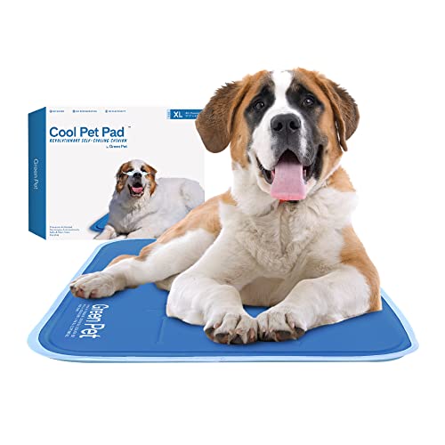 The Green Pet Shop Cool Pet Pad - Extra Large, Blue - Self-Cooling, Pressure Activated Mat for Dogs & Cats from 80+ lbs - ...
