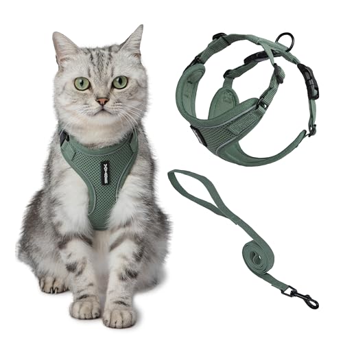 Voyager Escape-Proof Step-in Lock Cat Harness & 5ft Neoprene-Handle Leash Set All-Weather Mesh with Reflective Stitching f...