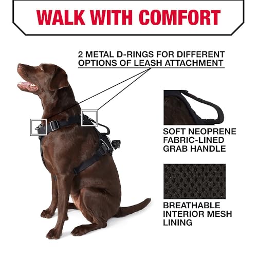 KONG Ultra Durable Waste Bag Harness (Medium, Black)