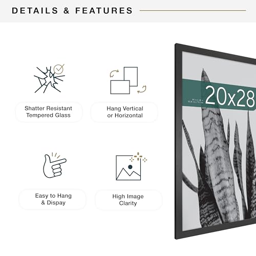 MCS Studio Gallery 20x28 Poster Frame Black Woodgrain Engineered Wood, Vertical & Horizontal Wall Hanging Large Picture Fr...