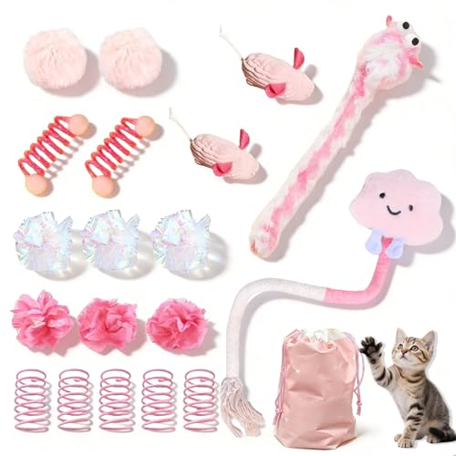 AINTE 20 Pcs Cat Toy Pack Interactive Kitten Toy Set,Including Cute Catnip Chew Rope Springs Mice Crinkle Ball Furry Balls...
