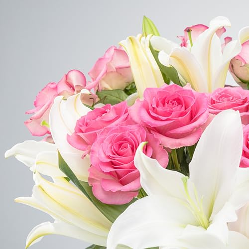 Benchmark Bouquets - Oriental Lily Flower & Pink Roses Bouquet - Fresh Flowers for Delivery - Real Flowers in a Vase - Gif...