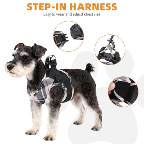 KOOLTAIL Small Dog Harness and Leash Set, Cute Puppy Harness, Step in No Pull Soft Mesh Pet Vest Harness Collar for Small ...