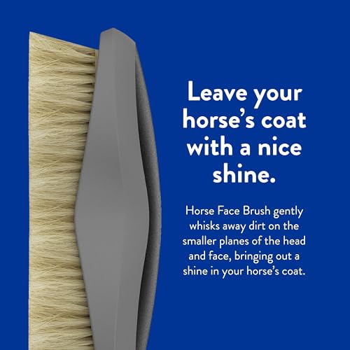 WAHL Professional Animal Equine Grooming Face Horse Brush - Black