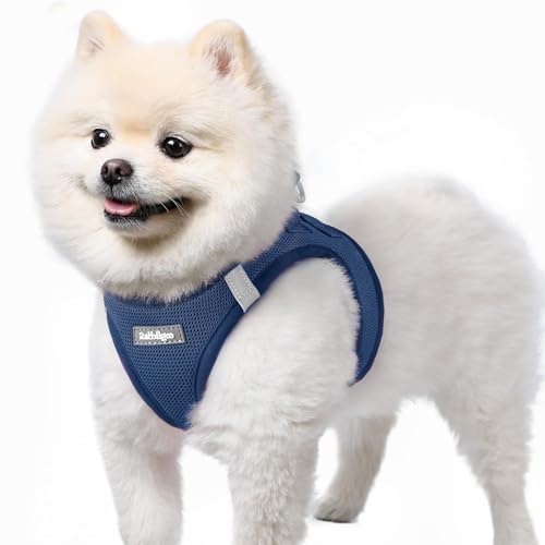 rabbitgoo Small Dog Harness, Step-in Soft Mesh Puppy Vest with Safety Buckle, Breathable Reflective Pet Harness for Small ...
