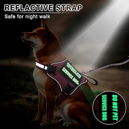 MOOGROU Service Dog Vest Harness and Leash Set+10 Patches,No Pull&Easy Walk Reflective Dog Harness with Soft Padded Handle...