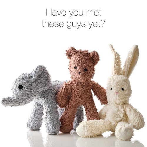 Pet Passion Plush Durable Cotton Dog Toys with Coconut Fill for All Pet Breeds, Bunny, One Size
