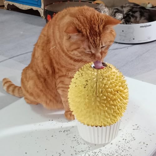 Miwoowim Catnip Feeder - Cat Face Scratcher Wall Corner Massage Comb for Indoor Cats Self Grooming Brush (Green)