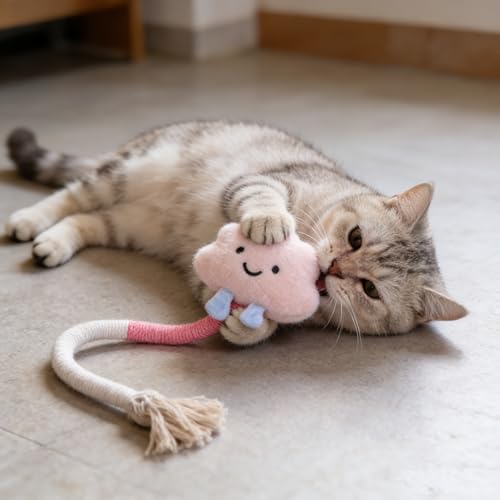 AINTE 20 Pcs Cat Toy Pack Interactive Kitten Toy Set,Including Cute Catnip Chew Rope Springs Mice Crinkle Ball Furry Balls...