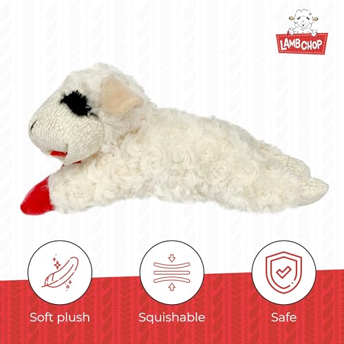 Multipet Lamb Chop Dog Plush Toy - Squeaky Toy for Small & Medium Dogs - Extra Soft Plush - Stuffed Animal for Cuddling & ...