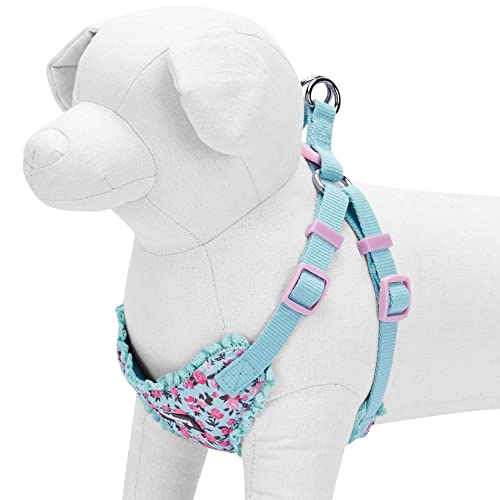 Blueberry Pet Soft & Comfy Made Well Cute Floral No Pull Mesh Dog Harness Vest in Light Blue, Chest Girth 17.5"-21", Smal...