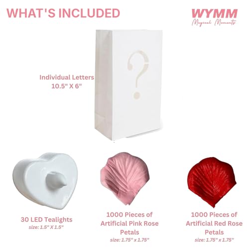 WYMM I Love You Light Up Letters with 30 Tea Lights Candles and 1000 Red & Pink Rose Petals - Luminary Bags for Anniversar...