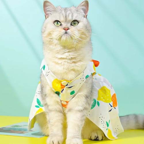 Small Dog Harness Dress Cat Princess Dresses Summer Lemon Clothes for Pet Female Puppy Outfit Cute Bow Tie Leash Set for S...