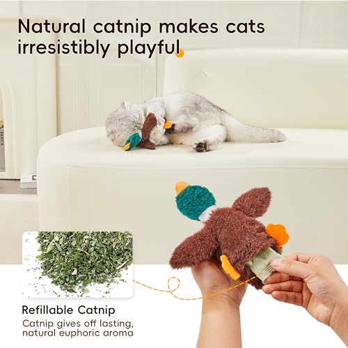 Potaroma Cat Toys Catnip Crinkly Sound 2 Pcs, Mess-Free Stuffless Kitten Toy, Durable Feline Bite Interactive Kicker Toys ...