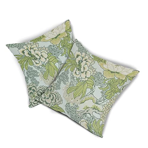 Sweetshow Spring Green Flowers Chinoiserie Pillow Covers 2 Packs 20x20 Inch Lighe Green Floral Throw Pillows Vintage Sage ...