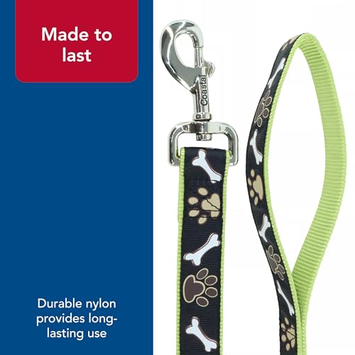 Coastal Pet Ribbon Dog Leash - Contemporary Stylish Look - Durable Fade-Resistant Nylon Material - Perfect for Dogs Brown ...