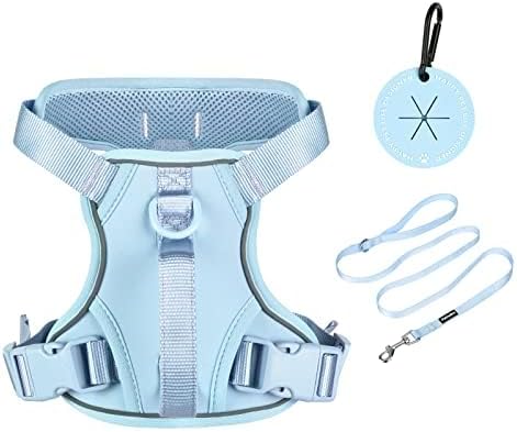 Petmolico Dog Harness for Small Dogs, Cute Harness Vest with Two Leash Clips and Soft Handle, Reflective Easy Walk Puppy V...