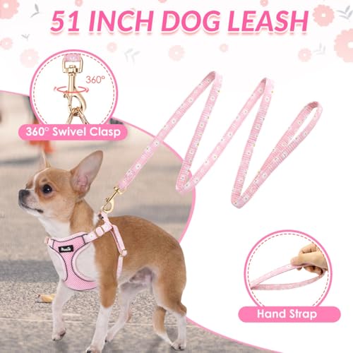 SlowTon Small Dog Harness - No Pull Dog Harness and Leash Set, Soft Mesh Lightweight Puppy Vest Harnesses, Adjustable Pet ...