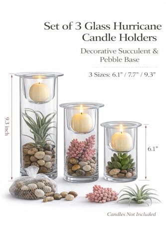 KMwares Glass Cylinder Candle Holders Set of 3 with Artificial Succulent and Decorative Stones, Hurricane Candle Holder Ce...