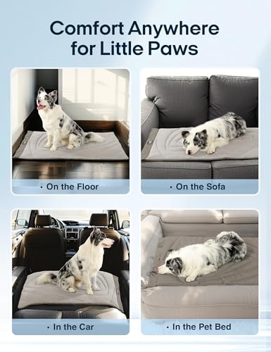 ZonLi Dog Cooling Mat, 20" x 16"Small, Waterproof Cooling Pad for Cats & Rabbits, Portable & Durable Pet Mat for Crate, Tr...