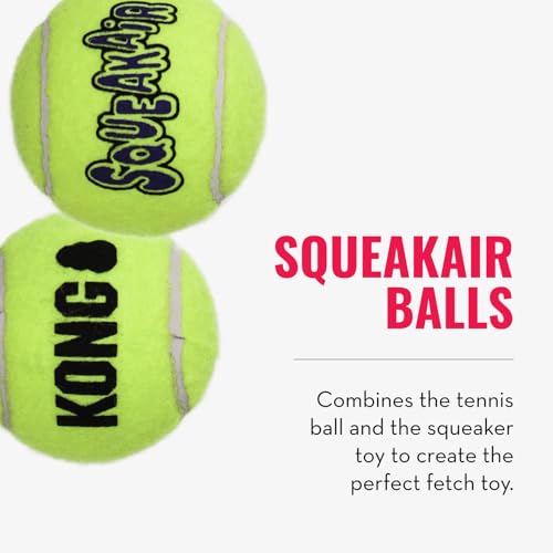 KONG Cozie Marvin Moose & SqueakAir Balls (3 Pack) - Dog Fetch & Chew Toys for Fun - Soft Toy Moose for Indoor Play - Dura...
