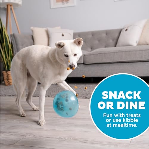 Outward Hound by Planet Dog Snoop Dog Toy – Treat‑Dispenser Puzzle Ball, Interactive Slow Feeder, Medium to Large Dogs, Bo...
