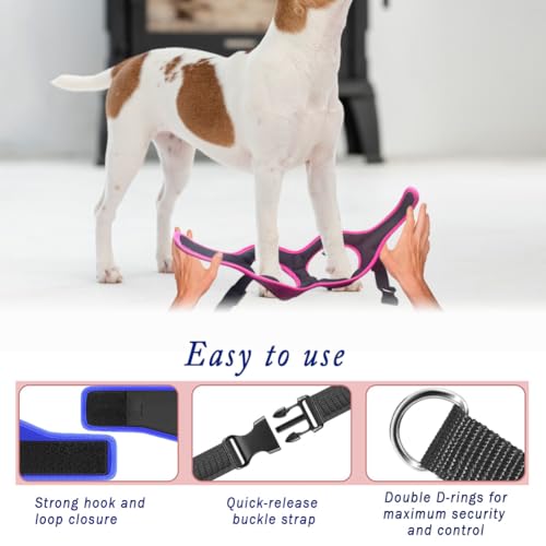 Comfort Fit No Pull Dog Harness – Adjustable Step-in Vest for Small, Medium & Large Dogs, Soft Padded with Leash Clips, Re...