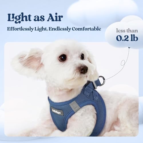 rabbitgoo Dog Harness Small Sized and Leash Set, Step in Soft Light Puppy Vest, Breathable Mesh Pet Harness, Reflective fo...