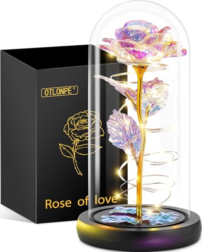 Otlonpe Preserved Forever Mothers Day Flower Gifts for Mom, Glass Light Up Rose Gifts for Women Grandma Girlfriend Wife Si...