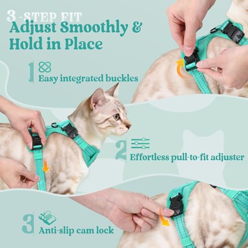 rabbitgoo Cat Harness and Leash, Escape Proof Vest with 3 Adjustable Buckles, Soft Comfortable Kitten Harness, Easy to Wea...