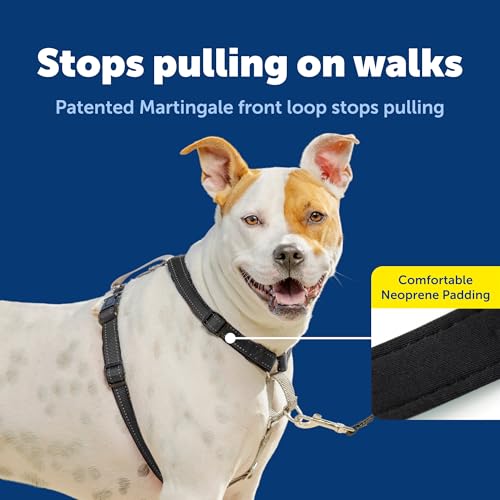 PetSafe 3-in-1 Harness - Comfortable Easy-Walk Dog Chest Harness with Front Leash Attachment to Reduce Pulling, Choking & ...