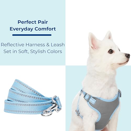 Blueberry Pet Matching Reflective Harness and Leash Set | Adjustable Pastel Vest with Lead for Dogs – Great Value Gift Set...