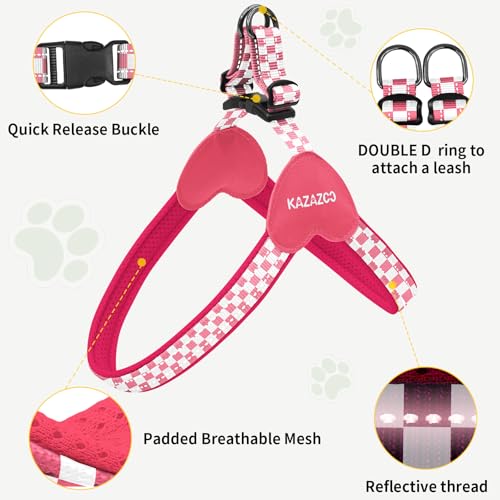 Kazazoo No Pull Small Dog Harness and Leash Set, Adjustable Puppy Soft Vest Harness with Breathable Mesh Padded, Reflectiv...