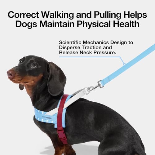 VETRESKA Dog Harness Small Sized Dog, Adjustable No Choke Puppy Harness No Pull, Easy Control Pet Harness Vest for Dogs, C...