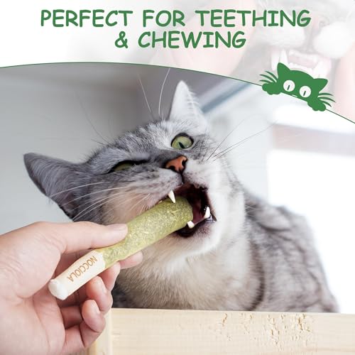 Nocciola 3 Pack Catnip Toys for Cats, Funny Cat Toys Filled with 100% Pure Organic Catnip, Safe Kitten Teething Chew and K...