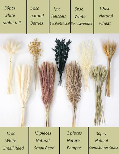 xin's convey 126pcs Dried Pampas Grass Decorations, Dried Flowers Bouquet, Reed Grass Bouquet for Boho Floral Wedding, Bed...