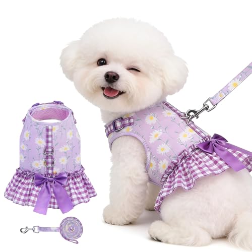 EXPAWLORER Dog Harness Small Medium Sized Dogs, Daisy Dog Dress Bowknot Harness and Leash Set, No Choke No Pull Soft Mesh ...