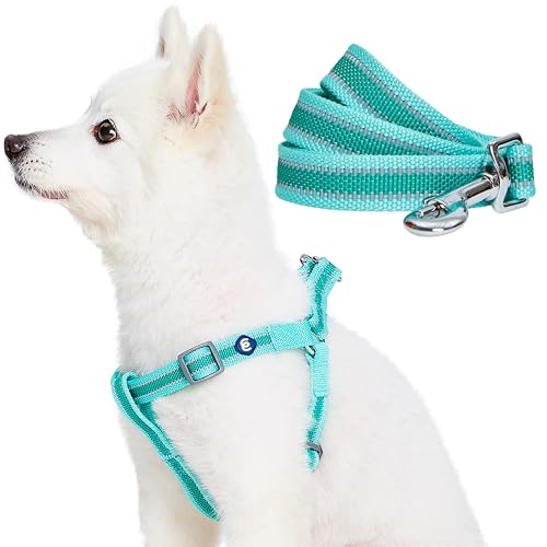Blueberry Pet Essentials Reflective Back to Basics Matching Dog Harness and Leash Set, Minty Green, Adjustable Harness wit...