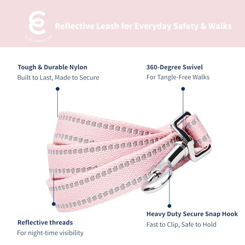 Blueberry Pet Essentials Matching Dog Collar & Leash Set | Pastel Reflective Adjustable Collar with 4 ft Lead for Large Do...