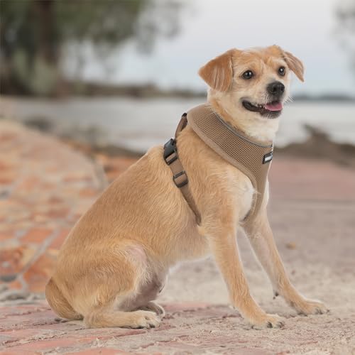 Best Pet Supplies Voyager Aerolite Adjustable No Pull Dog Harness with Reflective Stripes for Walking, Jogging, Heavy-Duty...
