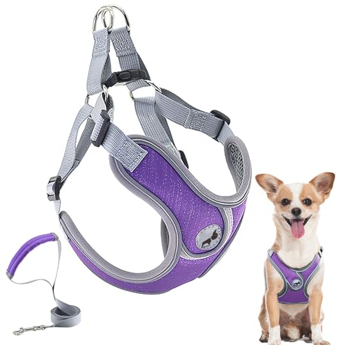 Dog Harness with Leash Set, No Pull Adjustable Step in Collars Harness with Breathable Padded Vest for Small Dogs Training...